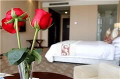 Superior Executive Business King Room