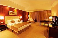 Healthy Business Queen Room
