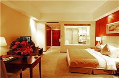 Healthy Business Queen Room