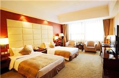 Healthy Business Twin Room
