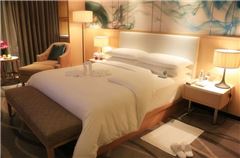 Executive Queen Room