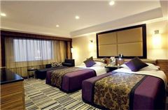Executive Standard Room