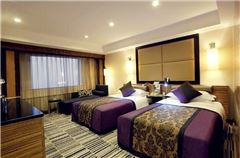 Executive Twin Room