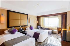 Executive Twin Room