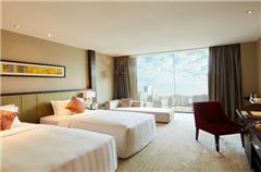 Deluxe Business Twin Room
