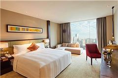 Deluxe Business Queen Room