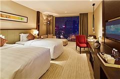 Deluxe Business Twin Room