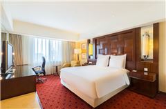 Deluxe Comfort Queen Room