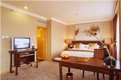 VIP Deluxe Business Room