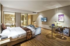Deluxe Business Room