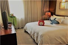 Family 1-bedroom Suite
