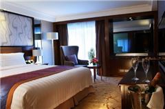 Business Suite