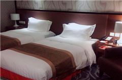 Business Twin Room