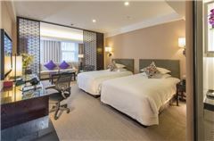 Executive Business Twin Room