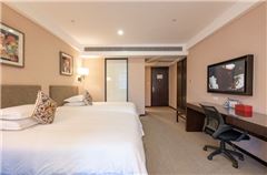 Executive Business Twin Room