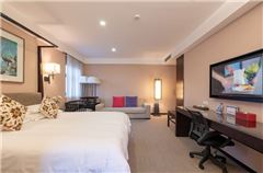 Executive Business Queen Room