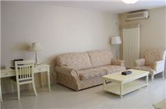 Premium Suite