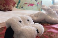 Childlike Room