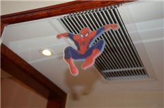 Spider-Man Thematic Family Room