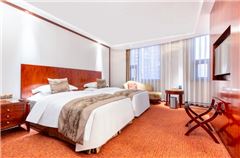 Business Special Twin Room