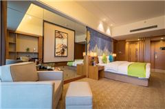 Executive Panoramic Single Room