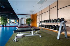 Palestra
