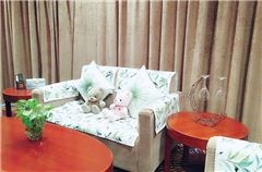 Thematic Couple Room