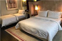 Elegant Family Suite