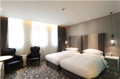 Elegant Twin Room