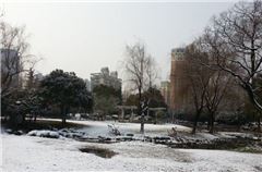 Surroundings