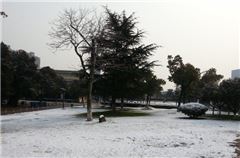 Surroundings