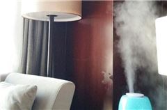 Executive Queen Room