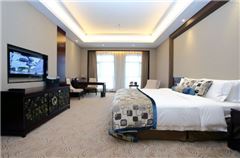 Executive Twin Suite B