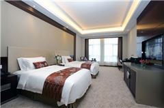 Deluxe Twin Room B