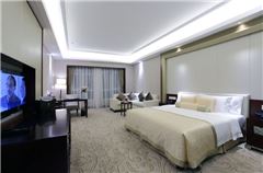 Executive Queen Room