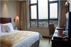 Business Suite