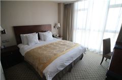 Business Suite