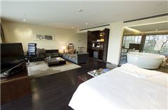 Fashion Suite