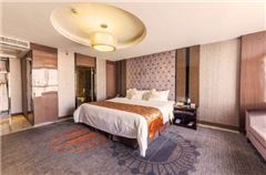 Business Queen Suite