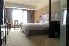 Executive Room B