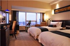 Executive Twin Room