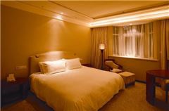 Executive Queen Room