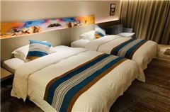 Business Twin Room