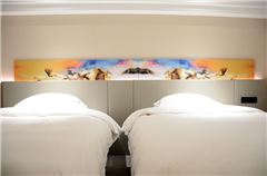 Superior Business Twin Room