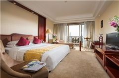 Executive Queen Room