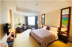 Executive Business Queen Room