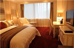 Executive Queen Room