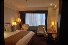 Superior Queen Room