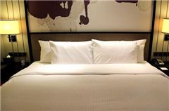 Executive Deluxe Queen Room