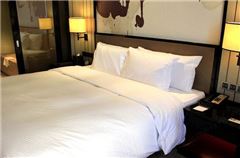 Executive Deluxe Queen Room